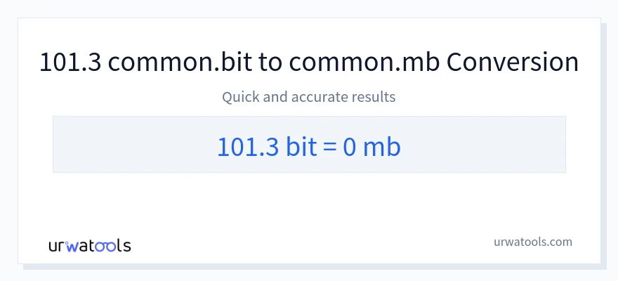 101.3 Bits 到 Megabytes 轉換
