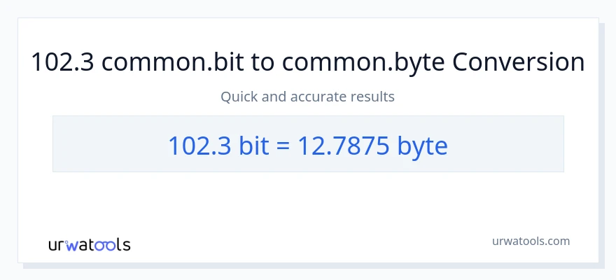 102.3 Bits থেকে Bytes রূপান্তর