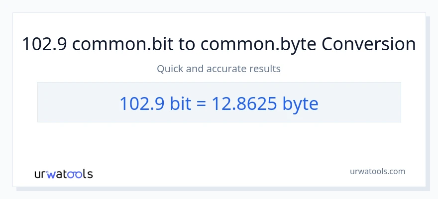 102.9 Bits uz Bytes konversiju