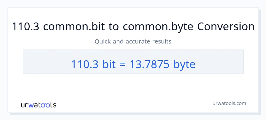 التحويل من 110.3 Bits إلى Bytes