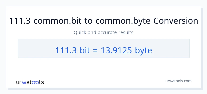 التحويل من 111.3 Bits إلى Bytes