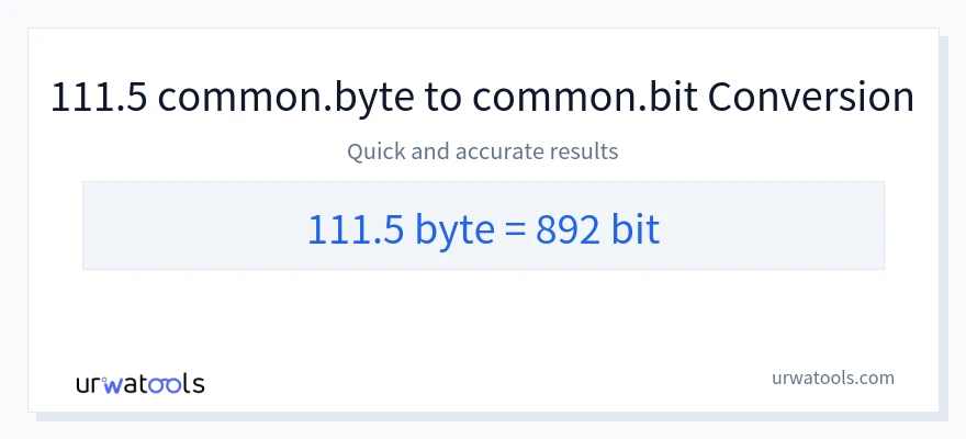 111.5 Bytes 到 Bits 轉換