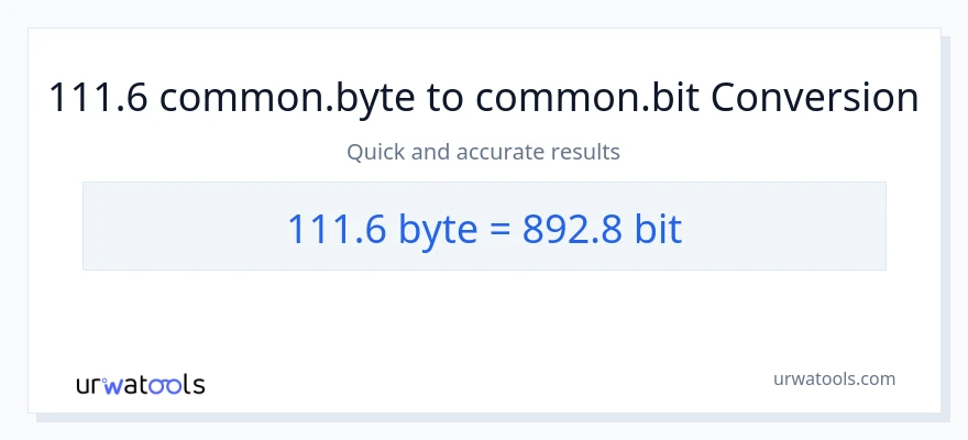 111.6 Bytes থেকে Bits রূপান্তর