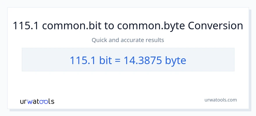 115.1 Bits til Bytes konvertering