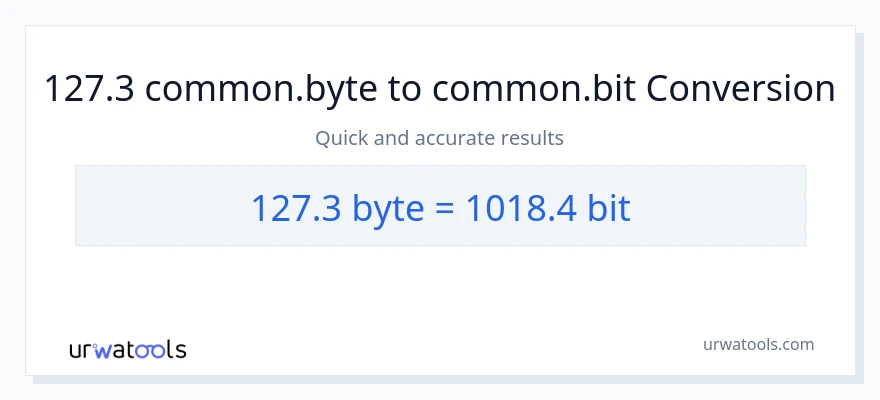 127.3 Bytes patungong Bits na conversion