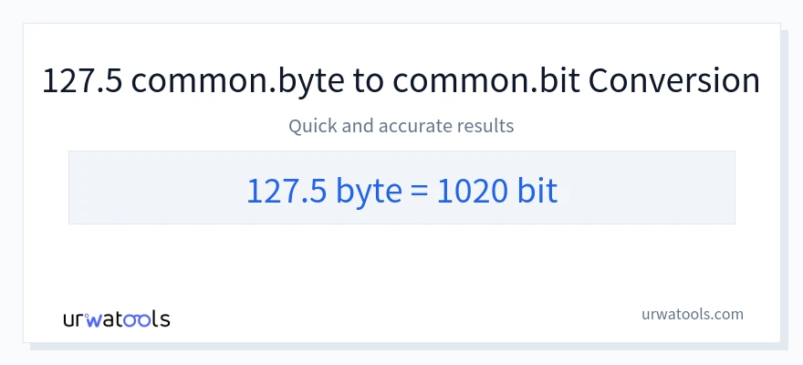 127.5 Bytes 到 Bits 轉換