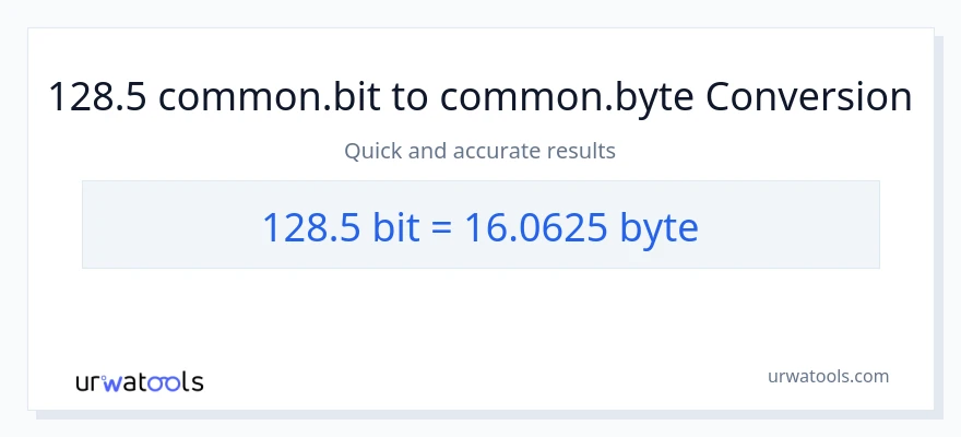 128.5 Bits patungong Bytes na conversion