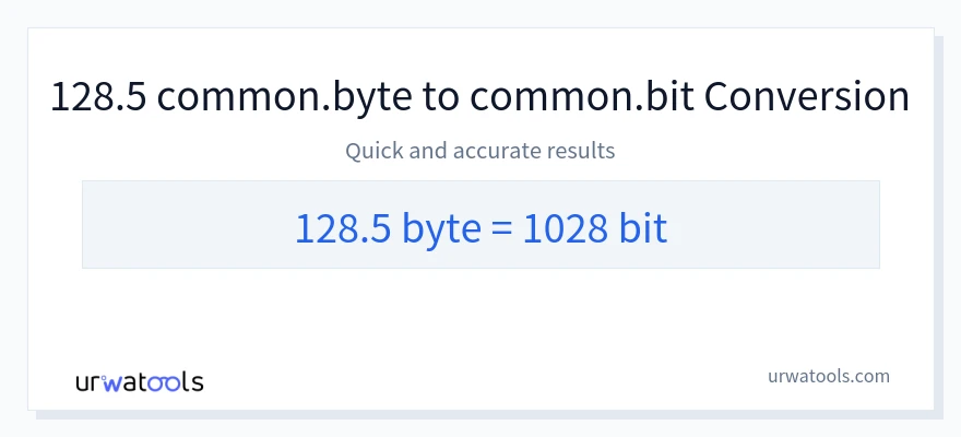 128.5 Bytes 到 Bits 轉換