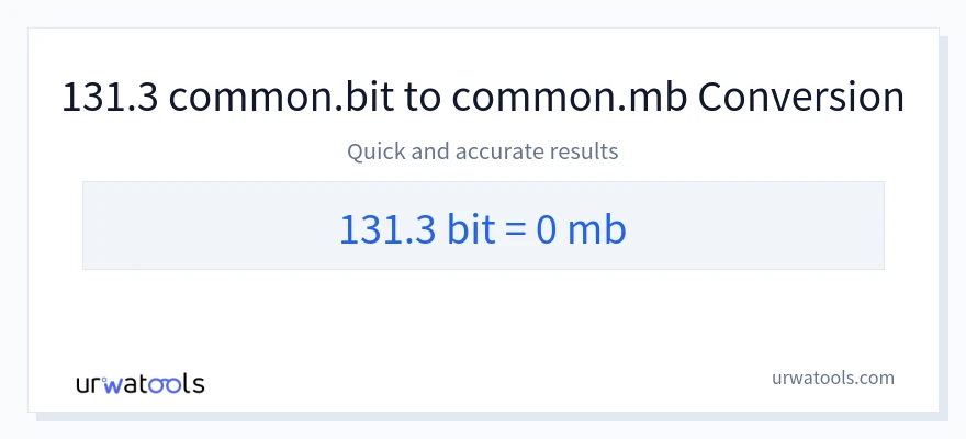 131.3 Bits 到 Megabytes 轉換
