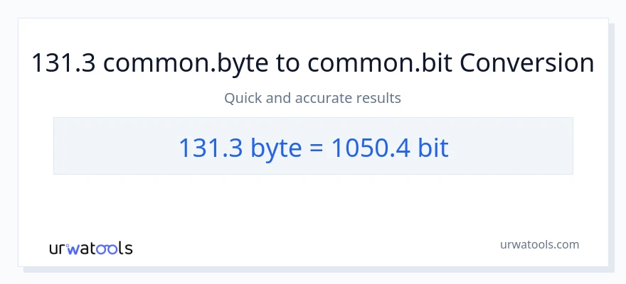 131.3 Bytes patungong Bits na conversion