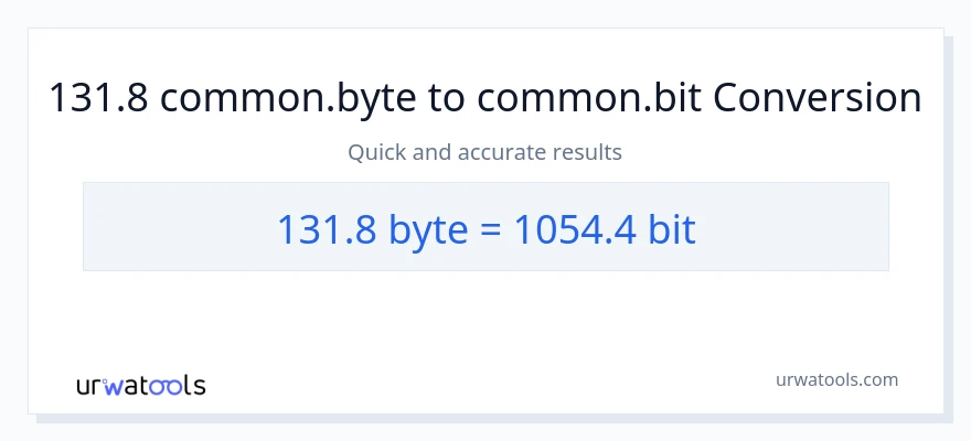 131.8 Bytes patungong Bits na conversion