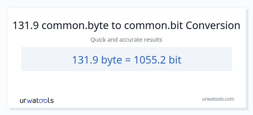 131.9 Bytes patungong Bits na conversion