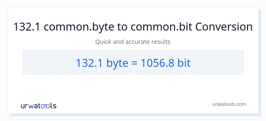 132.1 Bytes patungong Bits na conversion
