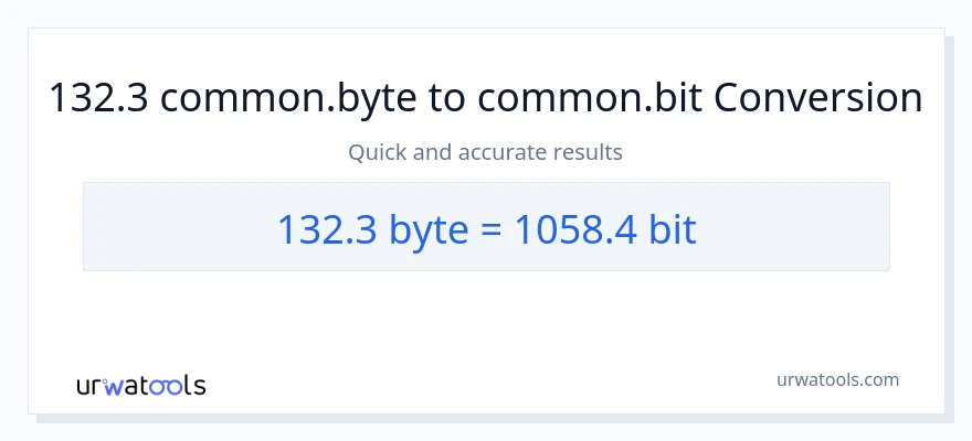 132.3 Bytes patungong Bits na conversion