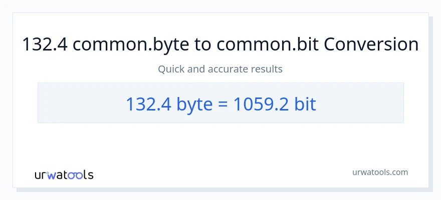 132.4 Bytes patungong Bits na conversion