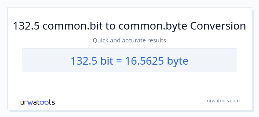 132.5 Bits patungong Bytes na conversion