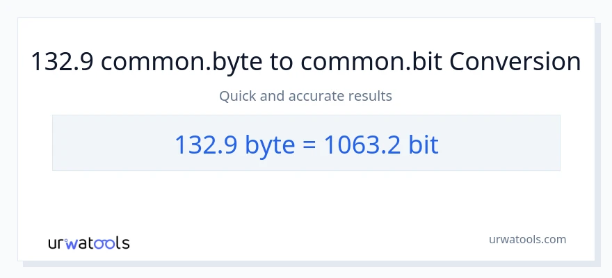 132.9 Bytes patungong Bits na conversion