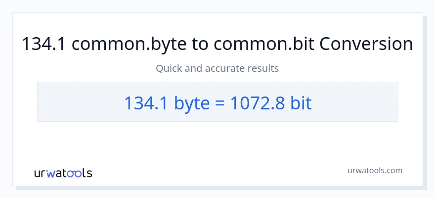 134.1 Bytes patungong Bits na conversion