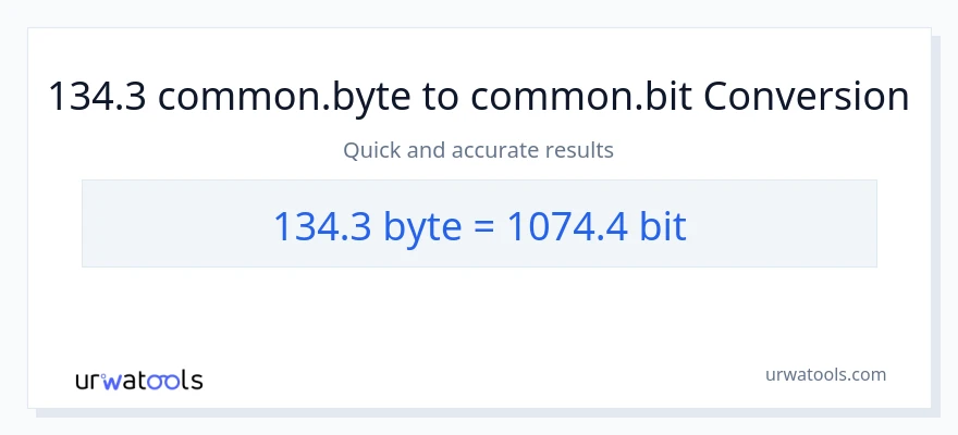 134.3 Bytes patungong Bits na conversion