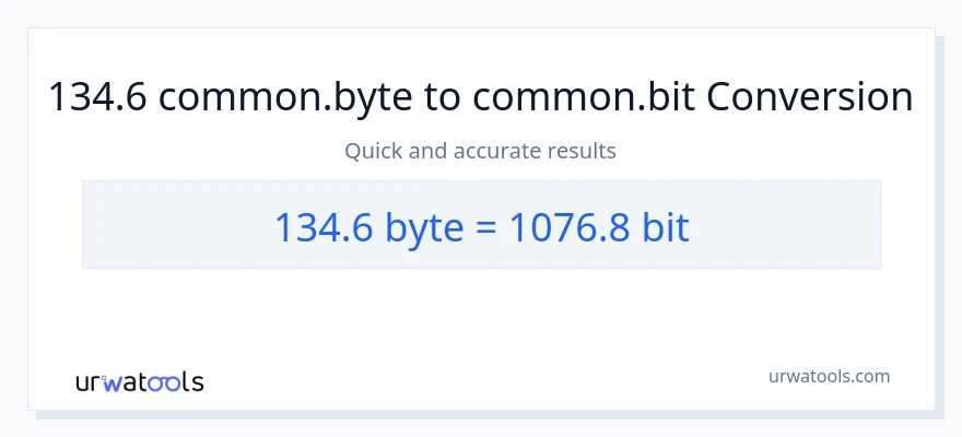 134.6 Bytes patungong Bits na conversion