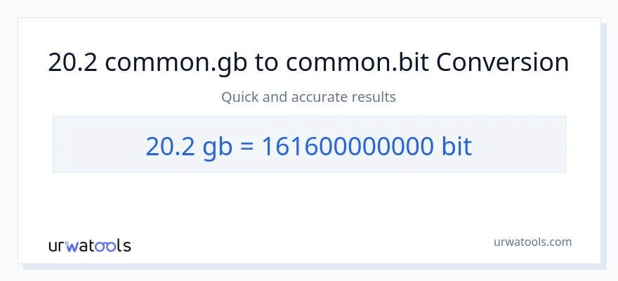 20.2 Gigabytes til Bits konvertering