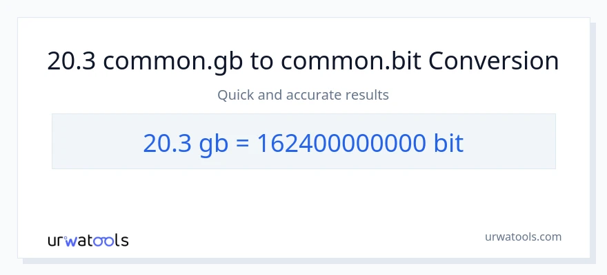 20.3 Gigabytes zu Bits Umwandlung