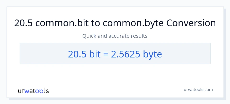20.5 Bits patungong Bytes na conversion