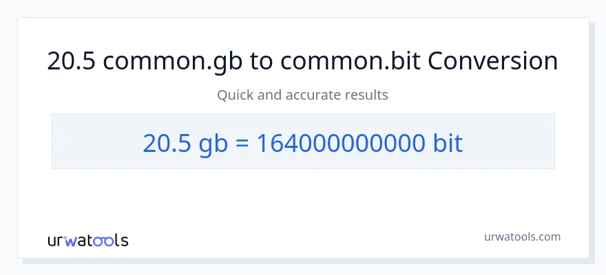 Conversione da 20.5 Gigabytes a Bits