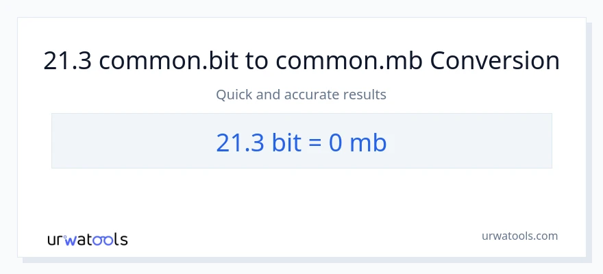 21.3 Bits patungong Megabytes na conversion