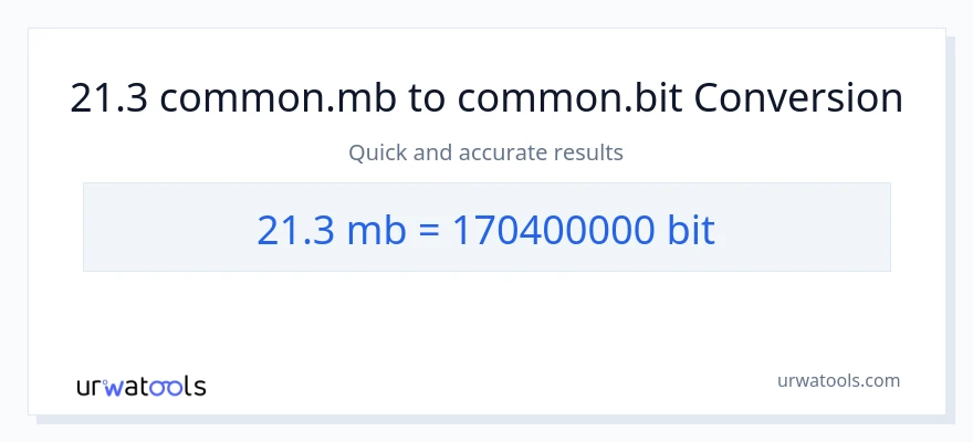 21.3 Megabytes til Bits konvertering