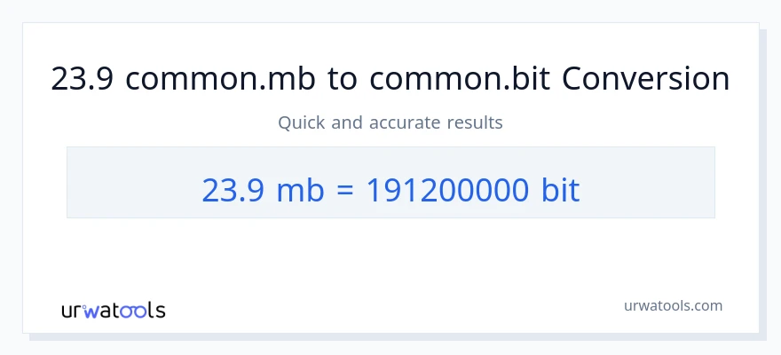 التحويل من 23.9 Megabytes إلى Bits