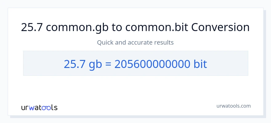 25.7 Gigabytes patungong Bits na conversion