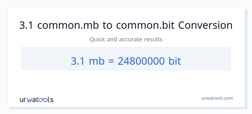 التحويل من 3.1 Megabytes إلى Bits