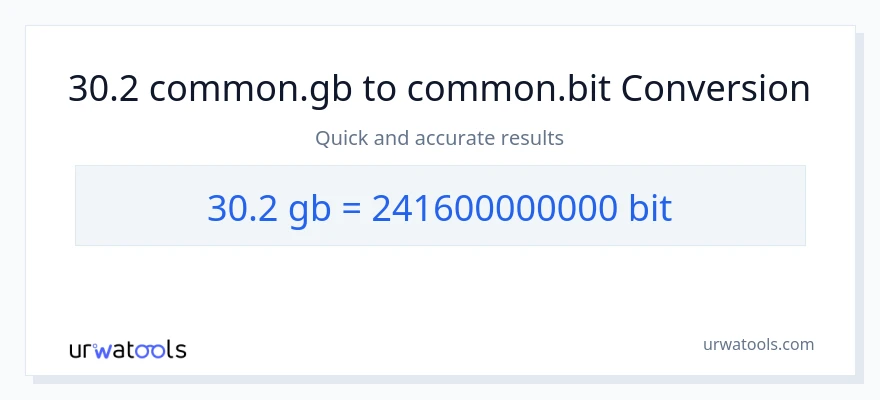 30.2 Gigabytes patungong Bits na conversion