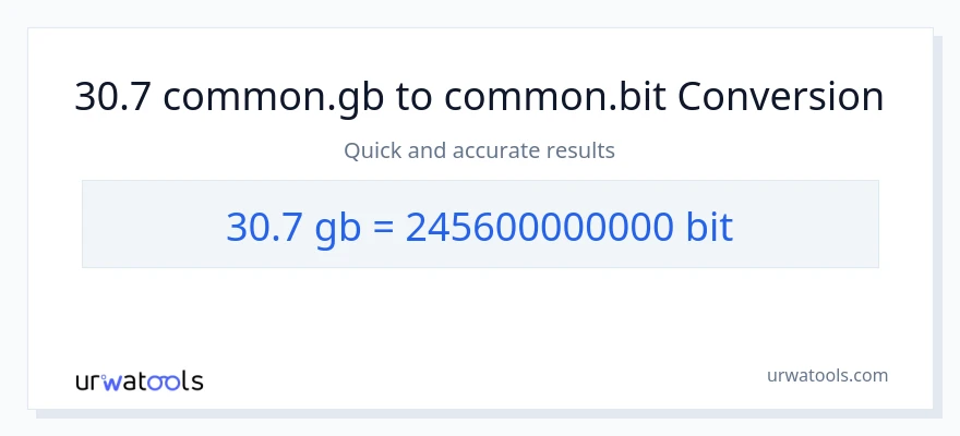 30.7 Gigabytes patungong Bits na conversion
