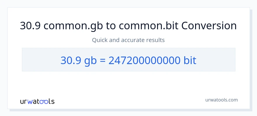 30.9 Gigabytes patungong Bits na conversion