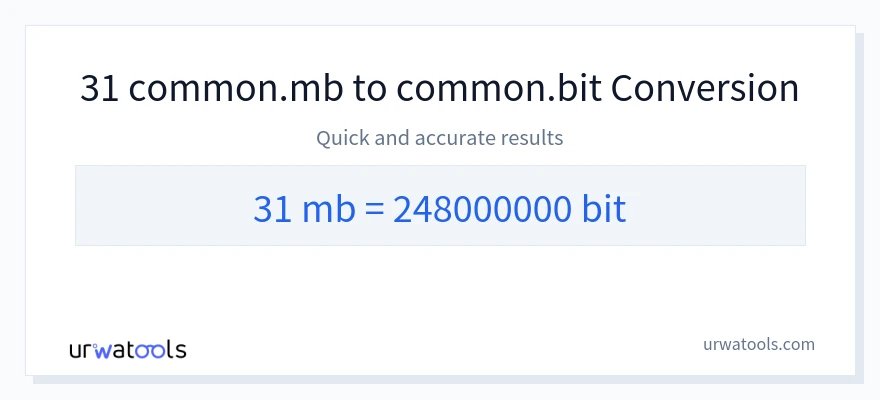 31 Megabytes 到 Bits 轉換