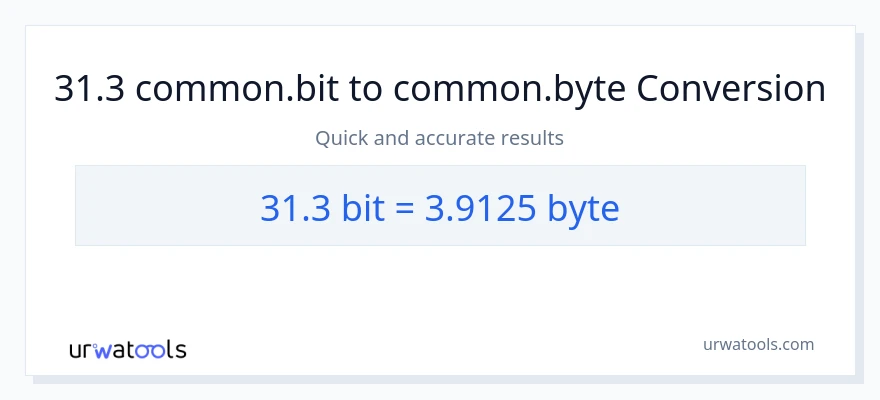 31.3 Bits patungong Bytes na conversion