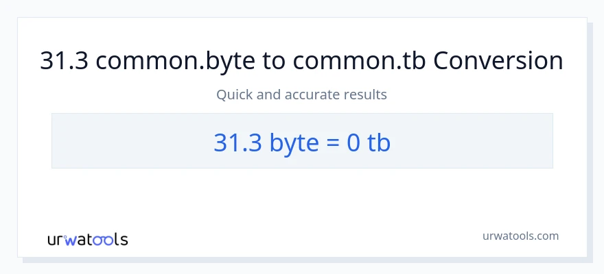 31.3 Bytes patungong Terabytes na conversion