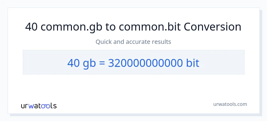40 Gigabytes patungong Bits na conversion