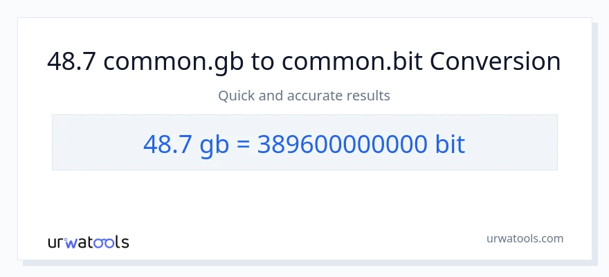 48.7 Gigabytes patungong Bits na conversion