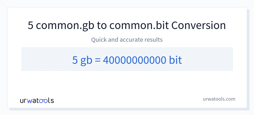 5 Gigabytes에서 Bits으로의 변환