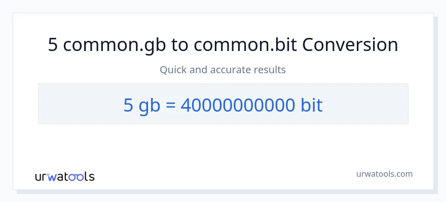 5 Gigabytes'den Bits'e dönüşüm