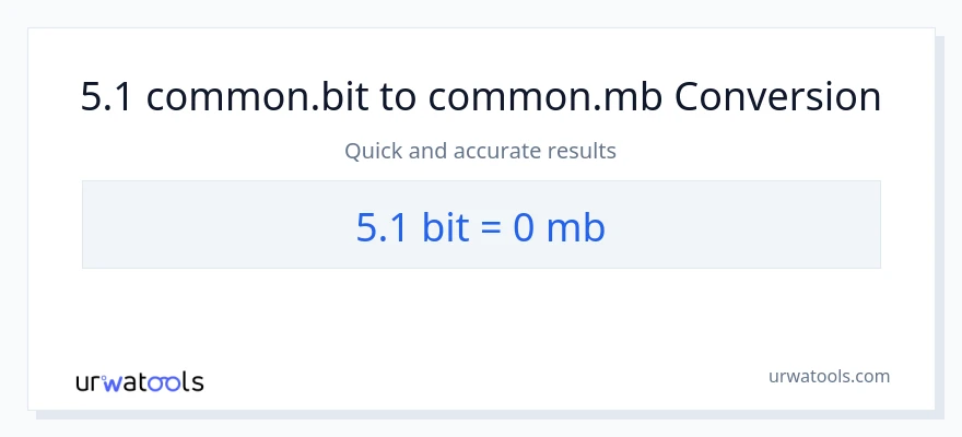 5.1 Bits til Megabytes konvertering