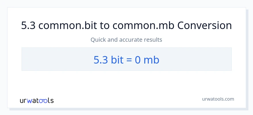 5.3 Bits - Megabytes muunnos