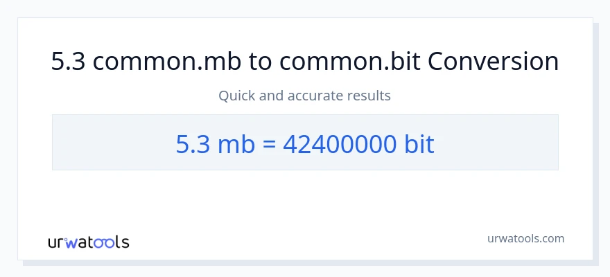 Conversion 5.3 Megabytes vers Bits