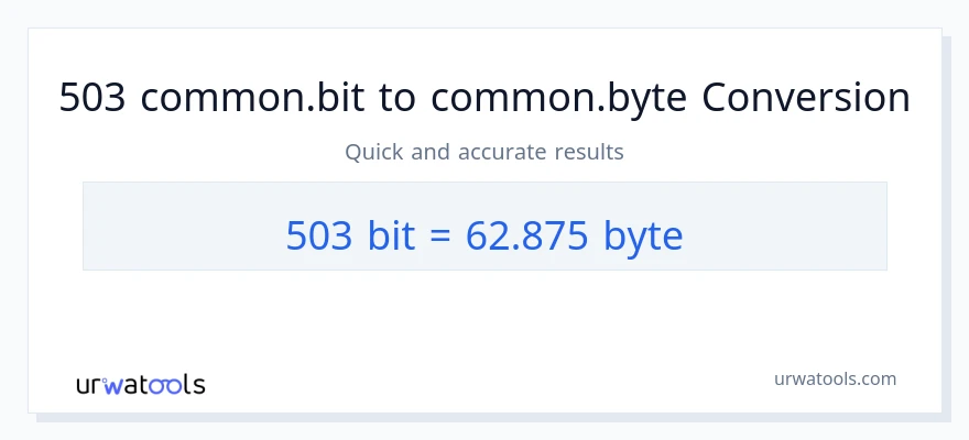 التحويل من 503 Bits إلى Bytes