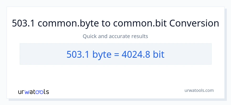 503.1 Bytes இலிருந்து Bits வரை மாற்றம்