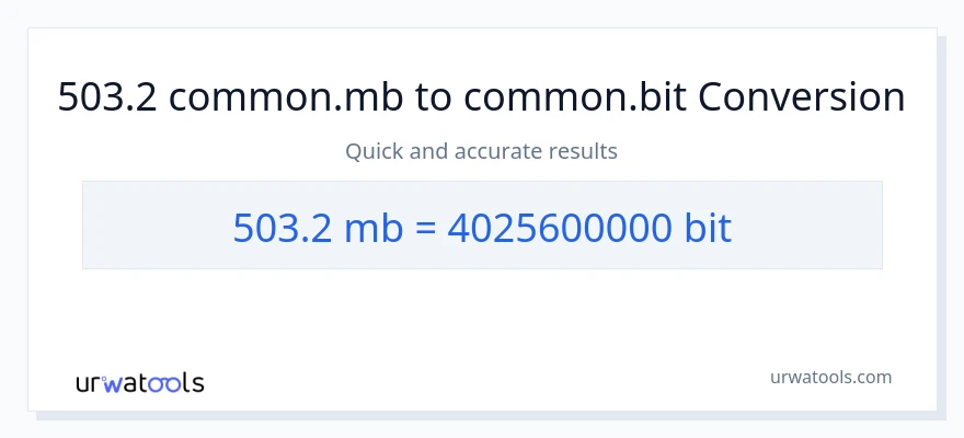 503.2 Megabytes patungong Bits na conversion