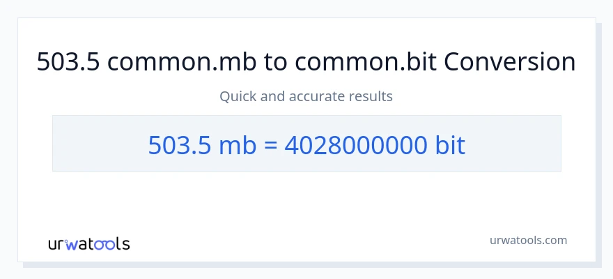 503.5 Megabytes patungong Bits na conversion